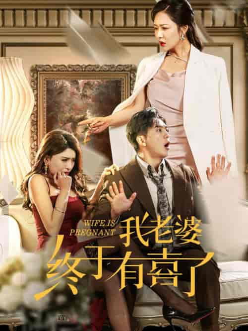 我老婆终于有喜了（40集全）钟莹玲-紫橙资源网