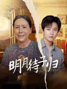 明月待子归（80集） - 紫橙短剧