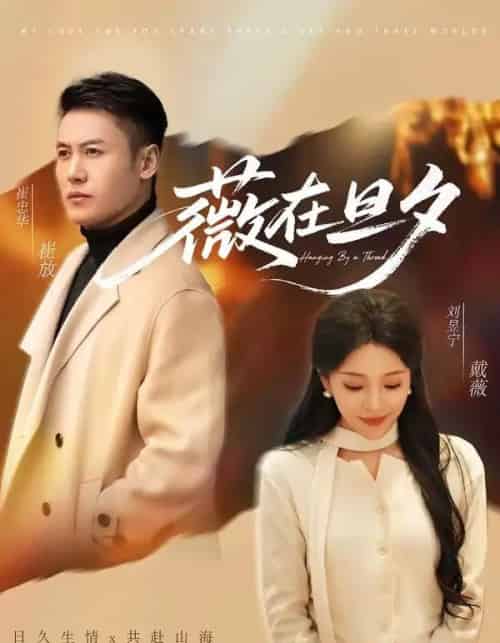 薇在旦夕（80集全）崔忠华＆刘昱宁-紫橙资源网