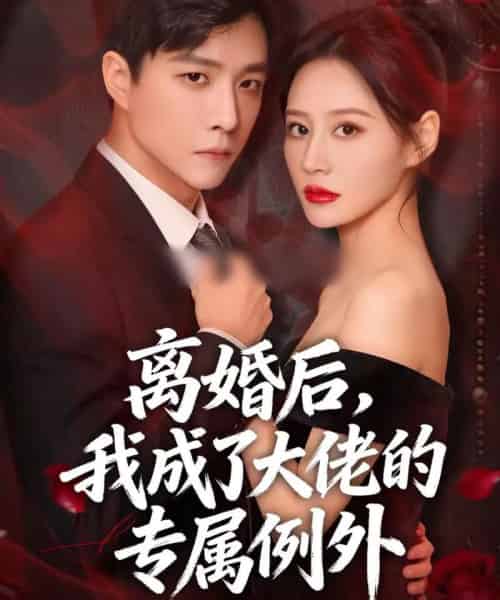 离婚后,我成了大佬的专属例外(60集全)许妙嘉&郭家麟&姜铭宇-紫橙资源网