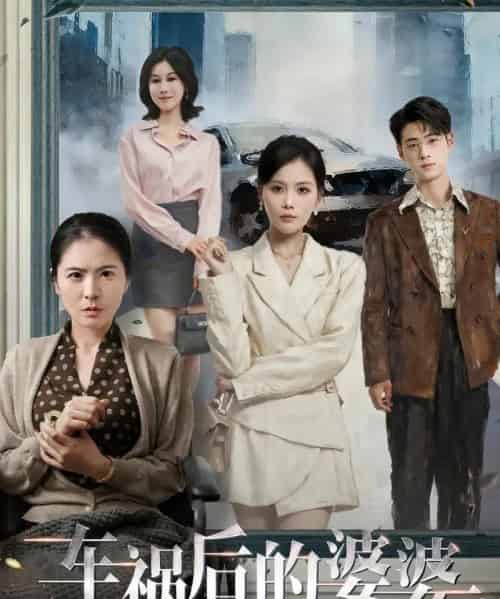 车祸后的婆婆（95集全）武帅康＆向云茜＆林俊诗-紫橙资源网