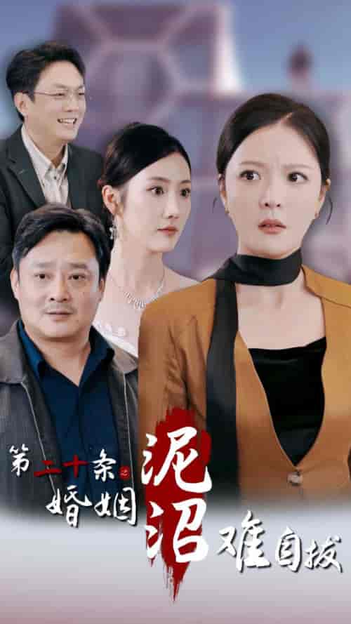 第二十条之婚姻沼泽难自拔（31集全）李明-紫橙资源网