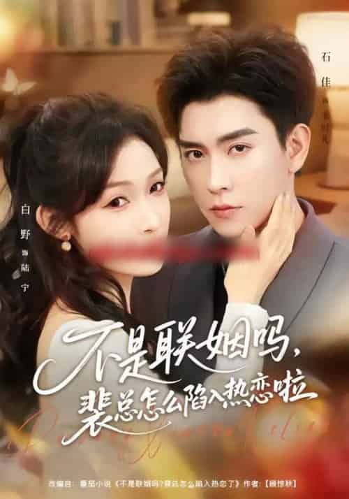 不是联姻吗，裴总怎么陷入热恋啦＆联姻对象是我的死对头（80集全）石佳＆白野-紫橙资源网