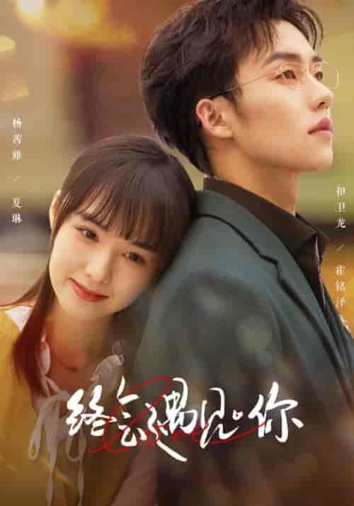 终会遇见你（66集）-紫橙资源网