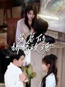 易总的娇娇玫瑰(96集)-紫橙资源网