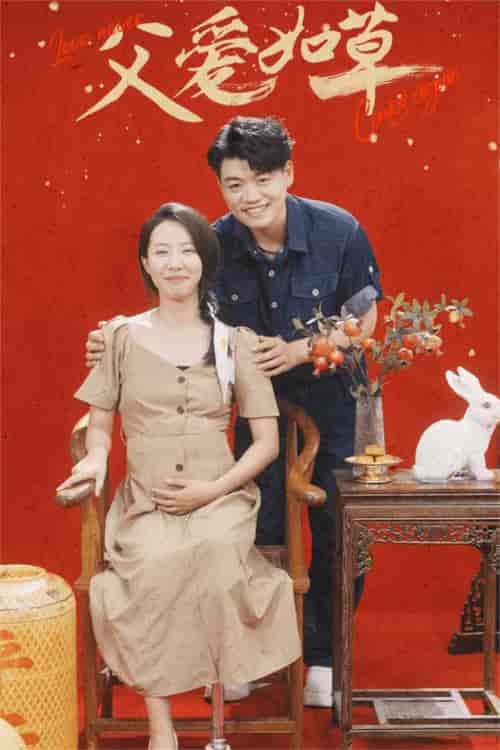 父爱如草（31集）-紫橙资源网
