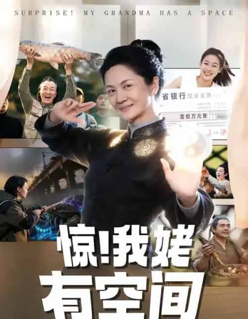 惊！我姥有空间（66集全）李敏＆炜平-紫橙资源网