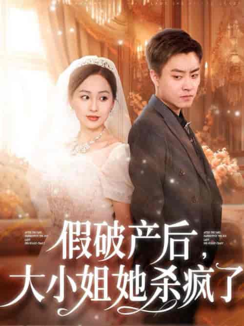 假破产后大小姐她杀疯了（77集全）-紫橙资源网