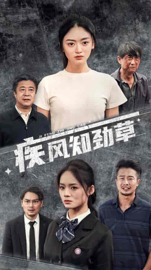 疾风知劲草（52集）-紫橙资源网