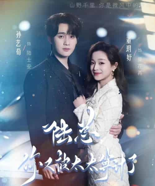 陆总，你又被太太算计了（70集全）孙艺荀＆董玥妤-紫橙资源网