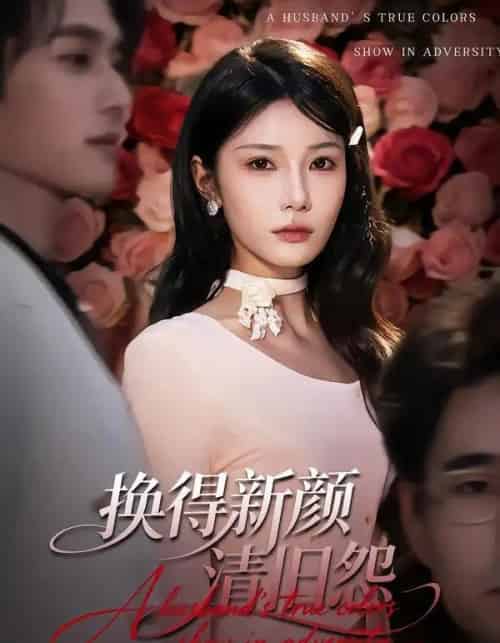 换得新颜清旧怨（58集全）穆森＆夏炎-紫橙资源网