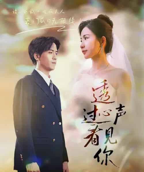 透过心声看见你（70集全）陆路＆维尼-紫橙资源网