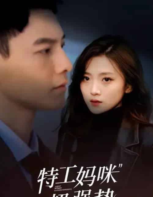 特工妈咪超强势（99集全）冯铭潮＆于金金-紫橙资源网