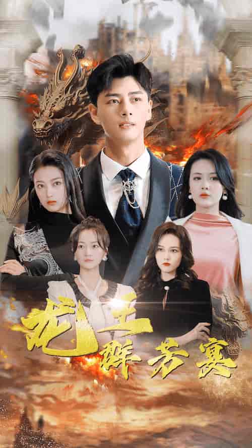 龙王群芳宴（82集）-紫橙资源网