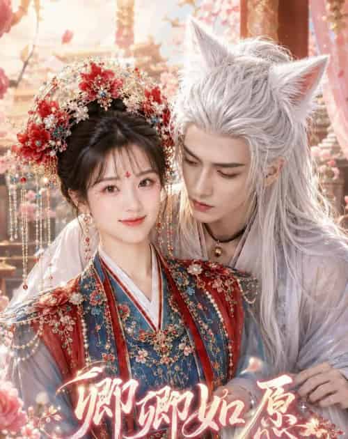 卿卿如愿（60集全）AI-紫橙资源网