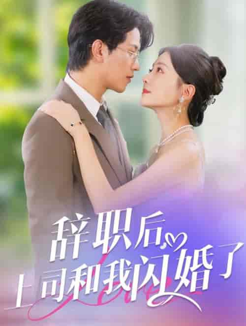辞职后上司和我闪婚了(71集全)李刘朋&李欣怡-紫橙资源网