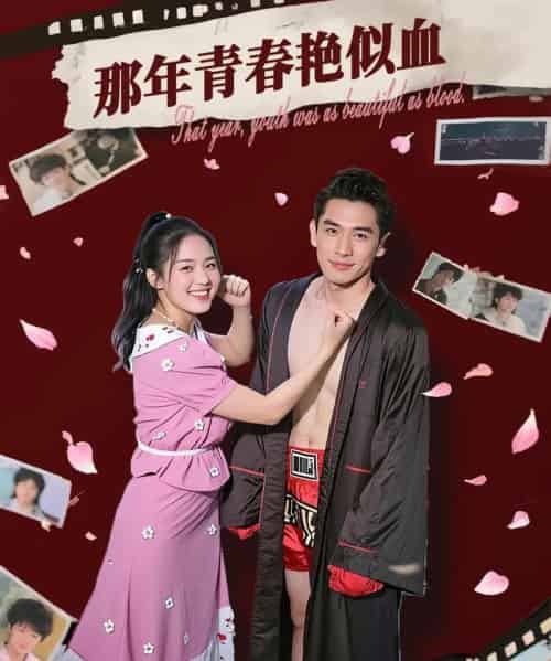 那年青春艳似血   共59集-紫橙资源网