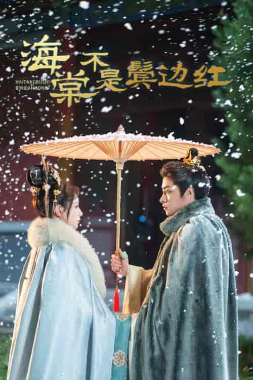 海棠不是鬓边红&人生若只如初见(30集全)郭榕声&马铭婕-紫橙资源网