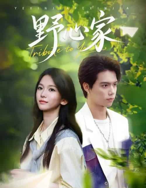 野心家（65集全）尤洋-紫橙资源网