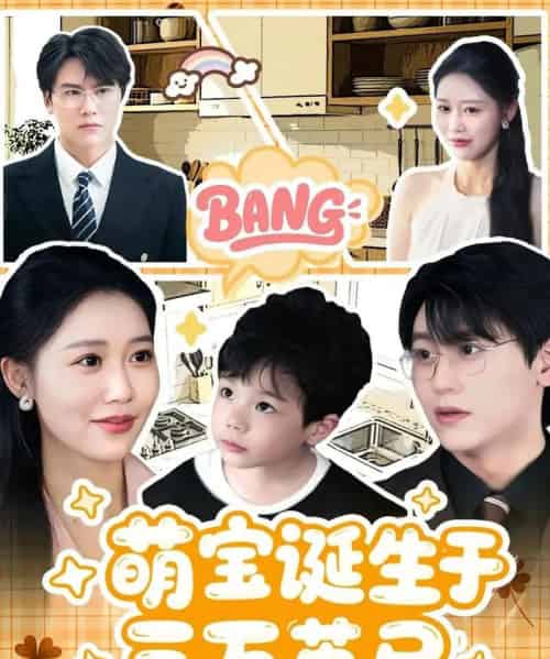 萌宝诞生于三万英尺 (93集)-紫橙资源网