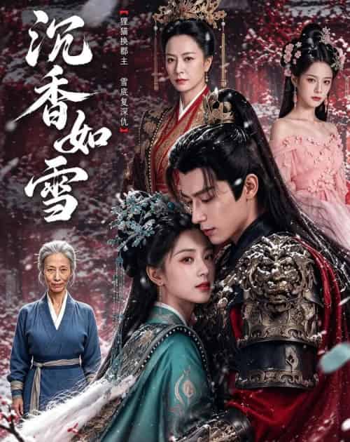 沉香如雪（63集全）AI-紫橙资源网