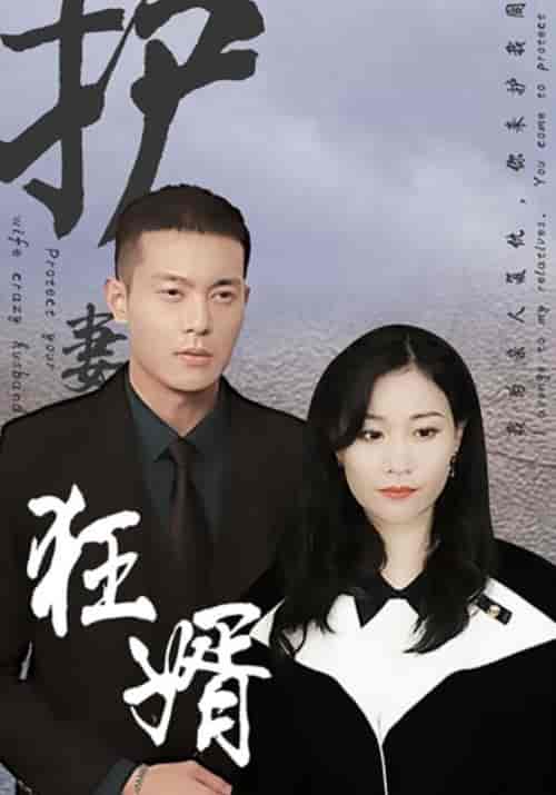 护妻狂婿（100集全）霍启晟＆林欣妍-紫橙资源网