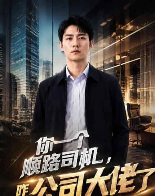 你一个顺路司机，咋成公司大佬了（30集全）AI-紫橙资源网