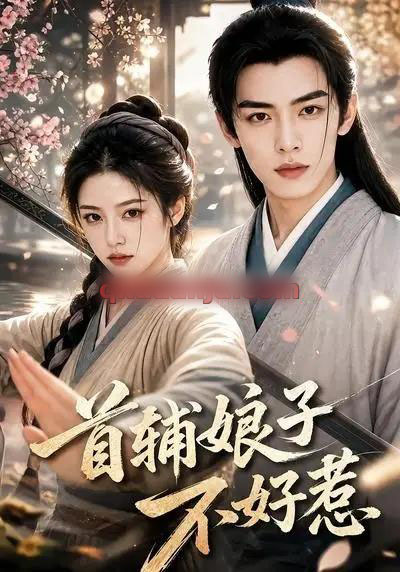 首辅娘子不好惹（156集全）AI短剧-紫橙资源网