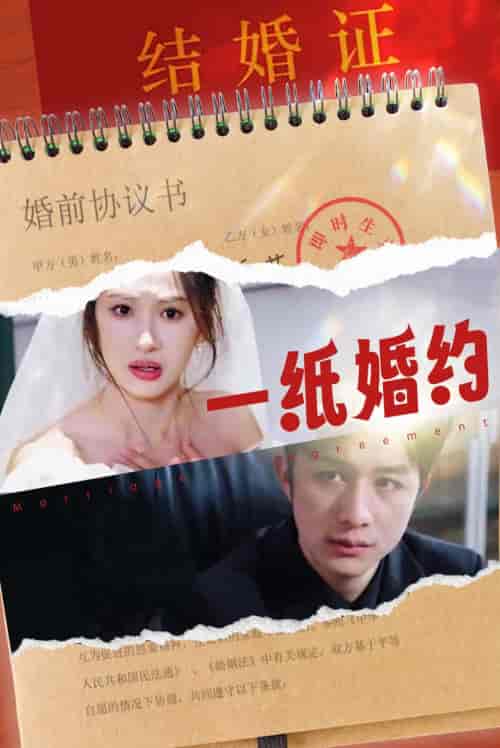 一纸婚约(90集)-紫橙资源网