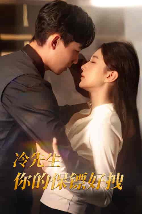 冷先生你的保镖好拽（44集全）-紫橙资源网