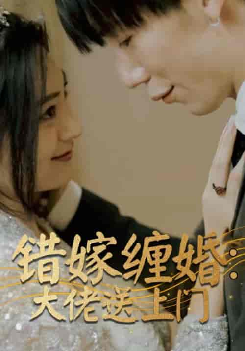 错嫁缠婚:大佬送上门(80集)厉夜霆&苏清浅-紫橙资源网