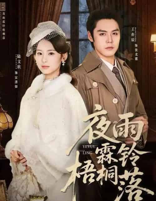 夜雨霖铃梧桐落＆烽火错爱（51集全）王亦辰＆陆文欣-紫橙资源网