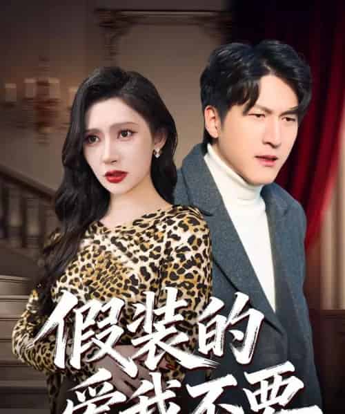 假装的爱我不要（44集全）王安忆＆李恒臻-紫橙资源网