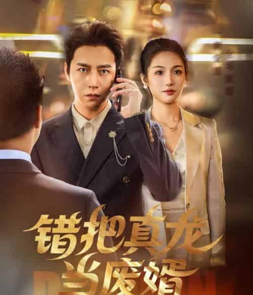 错把真龙当废婿（60集）孙雪阳＆舒萱-紫橙资源网