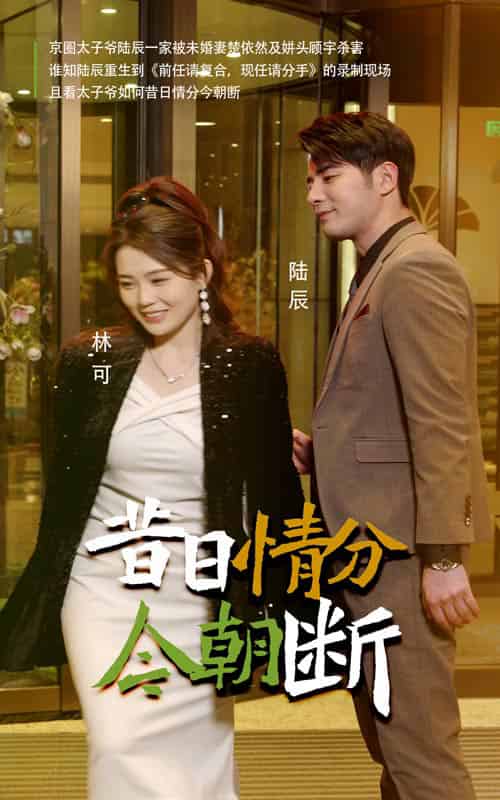 昔日情分今朝断（50集全）-紫橙资源网