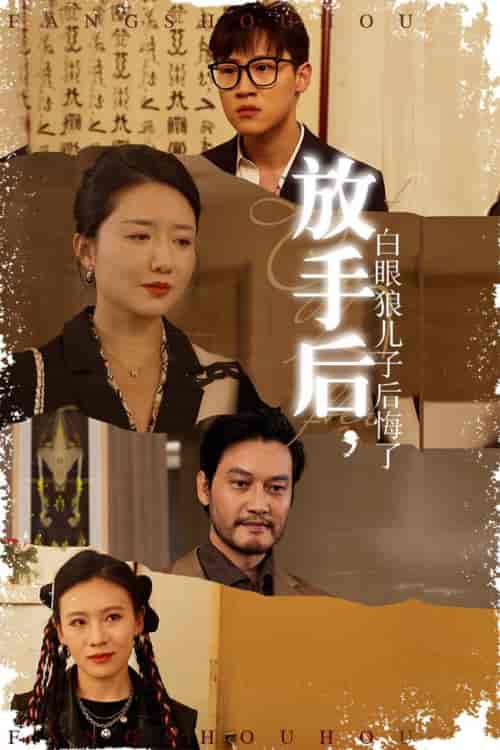 放手后，白眼狼儿子后悔了（54集全） - 紫橙短剧