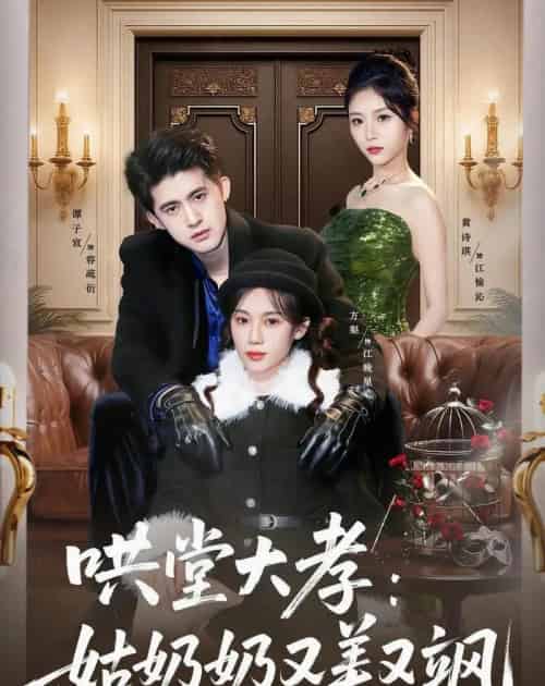 哄堂大孝：姑奶奶又美又飒（60集全）方梨＆谭子宣＆史小强-紫橙资源网