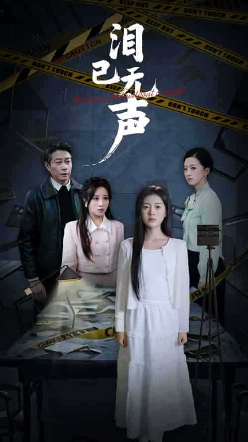 泪已无声（32集全）陈墁柯-紫橙资源网