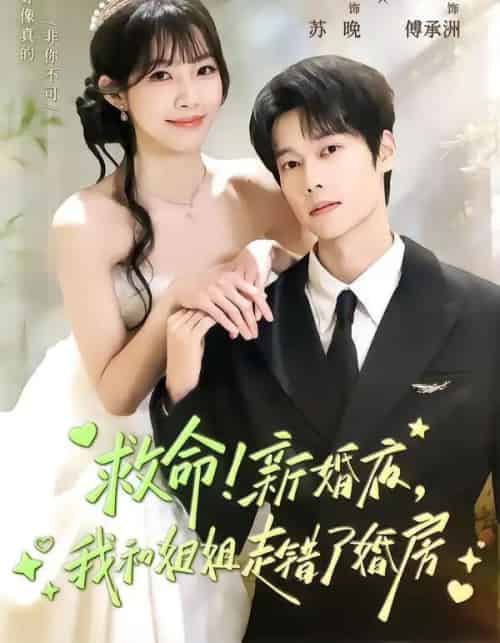 救命！新婚夜，我和姐姐走错了婚房（58集全）盛一辰＆赵偲佟-紫橙资源网