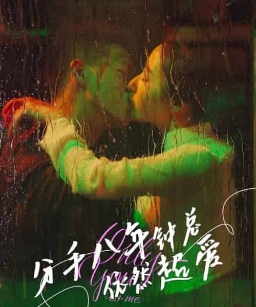 分手八年钟总依然超爱（81集）柴昊辰＆徐忠慧-紫橙资源网