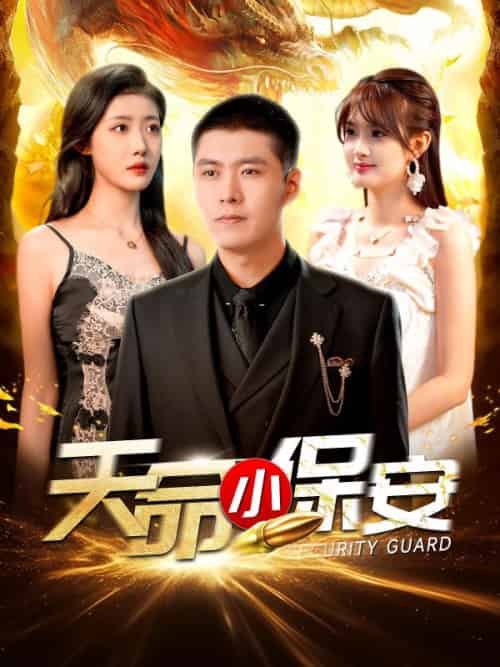 天命小保安（106集全）陈凡＆叶倾城-紫橙资源网
