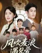 风吹麦浪遇见爱（70集）-紫橙资源网