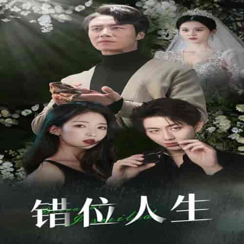 错位人生＆养大他人的儿子后我笑了（33集全）-紫橙资源网