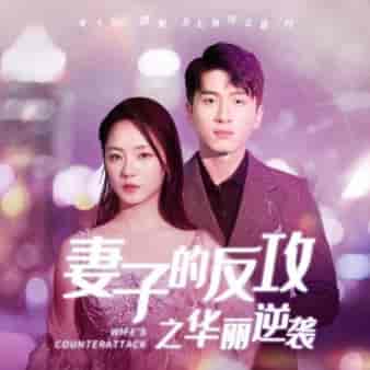 妻子的反攻之华丽逆袭(30集全)-紫橙资源网
