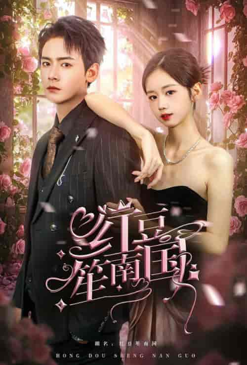 红豆笙南国（64集全）曾乙同-紫橙资源网