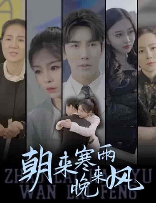 朝来寒雨晚来风（87集）-紫橙资源网