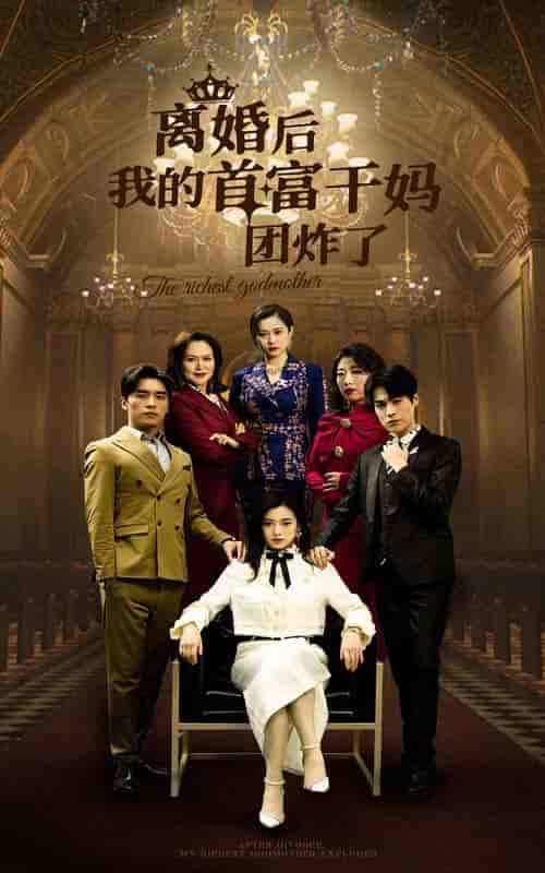 离婚后我的首富干妈团炸了（99集）-紫橙资源网