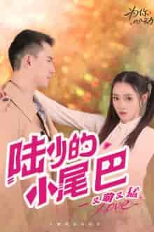 陆少的小尾巴又萌又猛(55集)-紫橙资源网