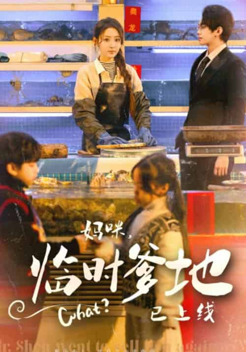 妈咪,临时爸比已上线(79集全)沈清河&宋听-紫橙资源网