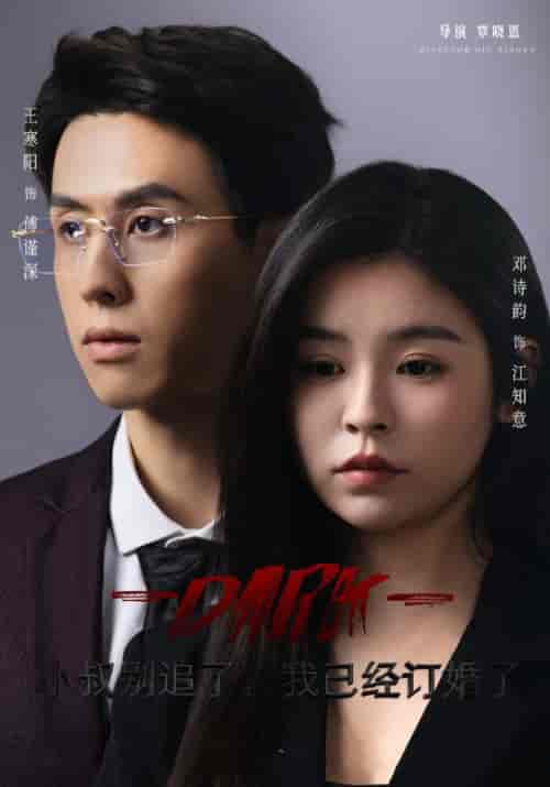 小叔别追了,我已经订婚了(34集)傅谨深&江知意-紫橙资源网